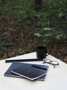 Notebook Greenbook cu spira 80 file 90g Rhodia
