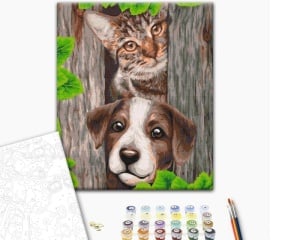 Set pictura pe numere Catel si pisica curiosi BS52088