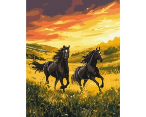 Set pictura pe numere unconquered running BS54424
