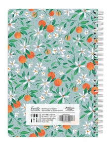 Sketchbook fruits 120g 60 file tangerines Drasca