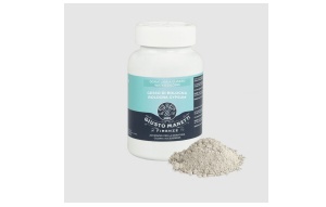 Gesso di Bologna 1kg Giustto Manetti 2ZGESSOBOL1