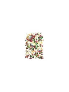Hartie de orez Cadence A4 114