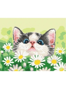 Kit pictura pe numere Cat in Daisies 51569