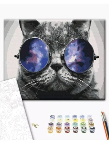 Kit pictura pe numere Kitty in Miami 29637