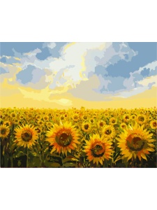 Kit pictura pe numere Sunflower field Profiart G135