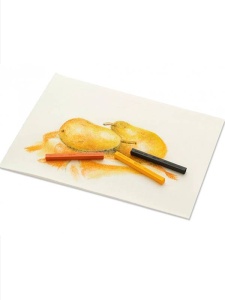 Pasteluri Polychromos Faber Castell