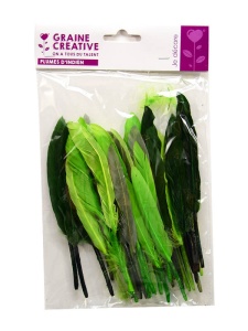 Set pene indiene colorate 15 cm 10g Graine Creative