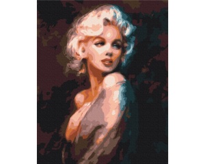 Set pictura pe numere shade of Monroe BS37728