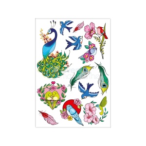 Set Tatuaje Temporare Birds Avenue Mandarine CC055C