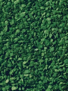 Frunze pentru diorame medium green 50g 7144 Noch