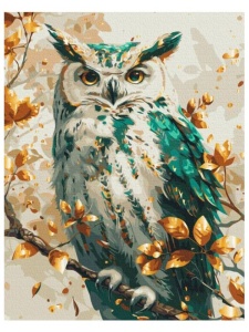 Kit pictura pe numere Emerald Owl 54117