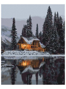 Kit pictura pe numere Snowy Night 52498