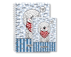 Notebook Bandit Be Inspired Drasca A5  A6, 80 file, 80g