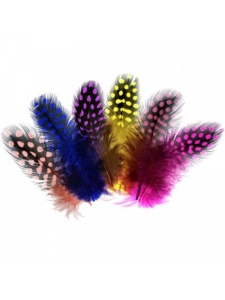 Set 24 pene bibilica de Guineea 6/8cm Meyco