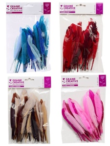 Set pene indiene colorate 15 cm 10g Graine Creative