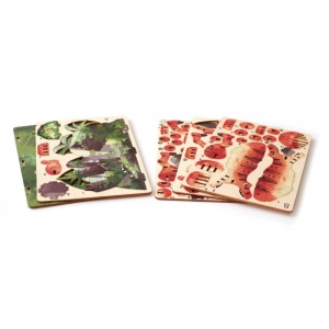 Macheta 3D Tyrannosaurus din lemn Graine Creative 651056