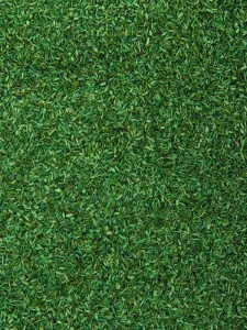 Material pentru diorame scatter material Noch