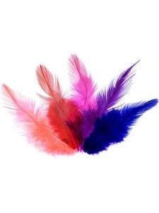 Set 24 pene colorate cocos 10/12cm Meyco 24026