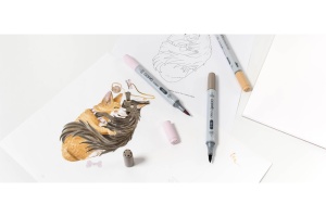 Set 3 Markere Copic Ciao Paleta de Culori Pet 220750302