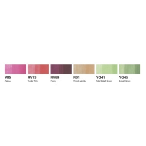 Set 6 markere cu cerneala pe baza de alcool, Copic Sketch Floral Favorites 1, 21075668 - Img 3