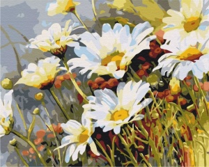 Set pictura pe numere strawberries in daisies BS52280