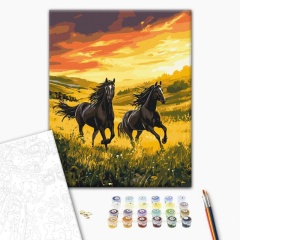 Set pictura pe numere unconquered running BS54424
