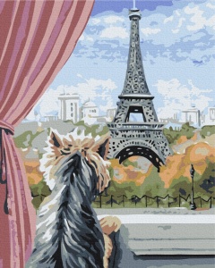 Kit pictura pe numere Paris from the Window 51700