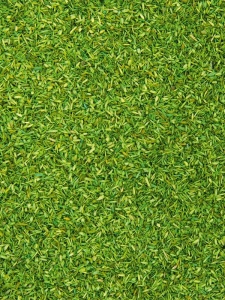 Material pentru diorame scatter material Noch