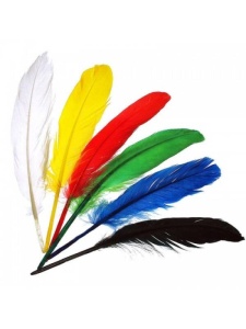 Pene Indian Meyco