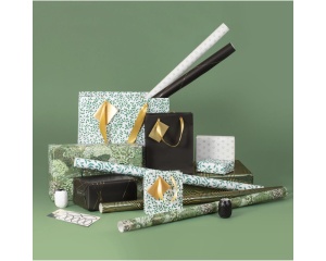 Rola de Hartie pentru Impachetare Cadou Ambalaj 80g 2x0,7m Model Smarald Clairefontaine 212883C