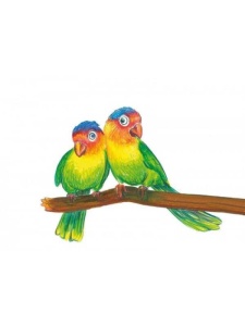 Set 18 + 4 + 2 creioane Faber Castell 201597
