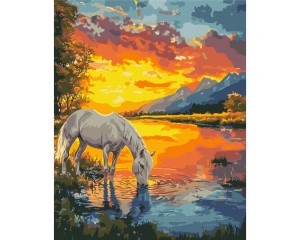 Set pictura pe numere a horse at dawn BS54417