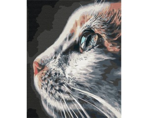 Set pictura pe numere, Cat Profile, BS51792