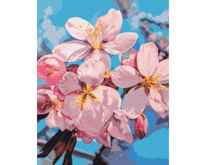 Set pictura pe numere plum blossom Anastasiia Osmolovska BS54283