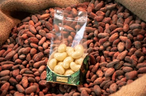 Drajeuri GALFFIS cu caju și ciocolată albă, 100 g – prezentare pe boabe de cacao