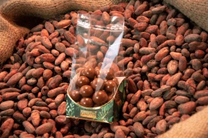 Draje lapte cu alune de pădure – prezentare pe boabe de cacao