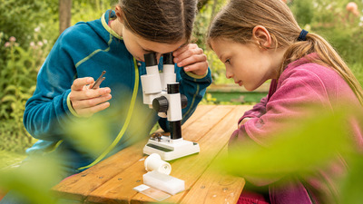 10 lucruri pe care le poți observa acasă cu un microscop