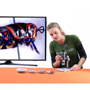 Microscop digital Celestron Labs MicroDirect 1080p HDMI, 10-220x - Img 6