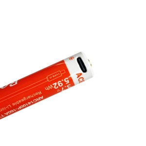 Acumulator 1600mAh cu port Micro-USB pentru Pokelit 2AA Acebeam 14100P-1600A - Img 3