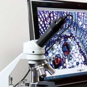 Camera digitala pentru microscoapele Celestron 44421, 2MP - Img 2
