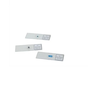 Set 25 preparate pentru microscop Celestron 44410 - Img 2