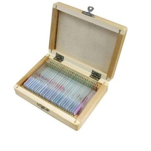 Set 30 preparate animale Bresser 5986000