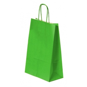 Pungă pentru Cadou, 220x310x120mm, 90 g/mp, cu Mânere Răsucite, Hârtie, Verde