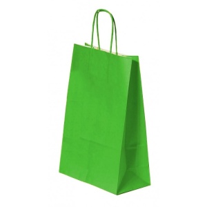 Pungă pentru Cadou, 320x410x120mm, 100 g/mp, cu Mânere Răsucite, Hârtie, Verde
