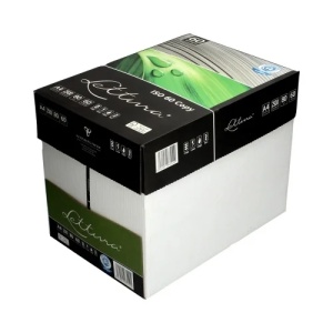 Hârtie Copiator Reciclată A4, Leturra Copy, 80g/mp, 500Coli/Top