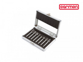 Trusa freze biax, Carbura, Coada Ø6 mm | T-LR401