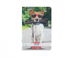 Set 10buc caiet A5, 48file, matematica, Herlitz motiv Cool Dog - Img 3