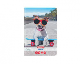 Set 10buc caiet A5, 48file, matematica, Herlitz motiv Cool Dog - Img 4