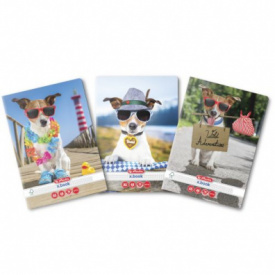 Set 10buc caiet A5, 48file, matematica, Herlitz motiv Cool Dog - Img 1
