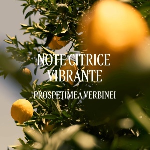 L'OCCITANE - L'Occitane en Provence Citrus Verbena Deodorant - Deodorant stick fara aluminium si alcool 70gr - Img 4